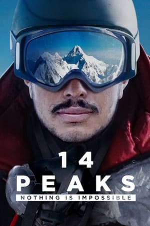 14 Peaks: Nothing Is Impossible (2021) Hindi Dual Audio 350MB HD Poster Download - filmyfly