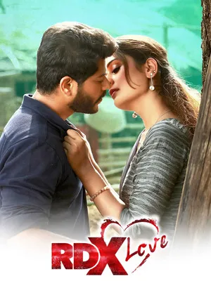 RDX Love 2019 Hindi Dual Audio HD Poster Download - filmyfly