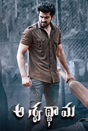 Aswathama 2020 (Hindi – Telugu) Dual Audio [960MB] HD Poster Download - filmyfly