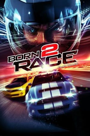 Born to Race Fast Track 2014 Hindi Dual Audio [840MB] HD Poster Download - filmyfly