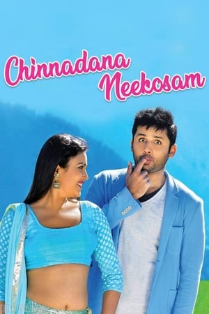 Chinnadana Nee Kosam 2014 Hindi Dual Audio 400MB HD Poster Download - filmyfly