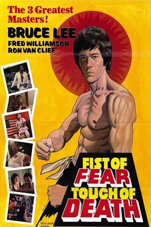Fist of Fear Touch of Death 1980 Hindi Dual Audio 300MB HD Poster Download - filmyfly