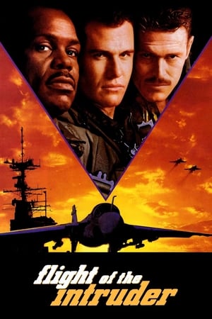 Flight Of The Intruder 1991 Hindi Dubbed HD Poster Download - filmyfly