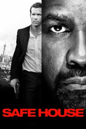 Safe House (2012) Hindi Dual Audio – HD Poster Download - filmyfly