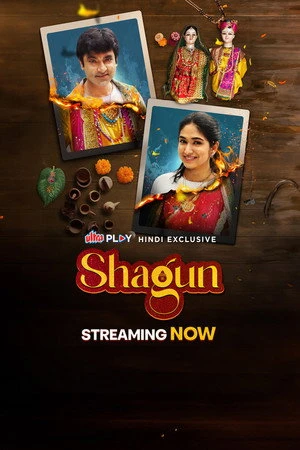 Shagun 2024 Hindi Dual Audio HD Poster Download - filmyfly