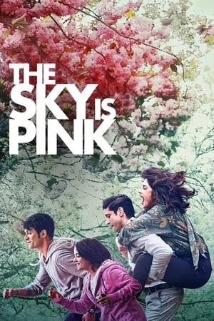 Sky Is Pink (2019) Hindi Movie – [450MB] HD Poster Download - filmyfly