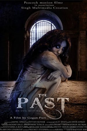 The Past 2018 Hindi Movie [940MB] HD Poster Download - filmyfly