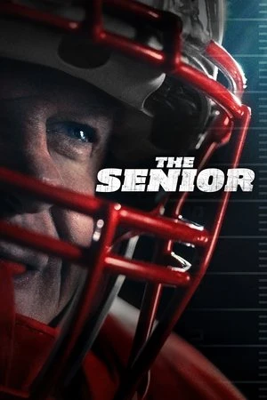 The Senior 2025 Hindi - English Audio HD Poster Download - filmyfly
