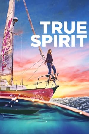 True Spirit (2023) Hindi Dual Audio – HD Poster Download - filmyfly